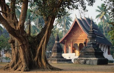 Templi e natura in Laos