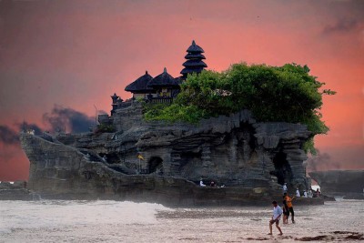 Belalang-Bali-Indonesia