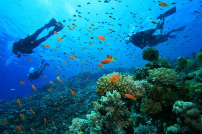 Barriera corallina di Koh Lipe