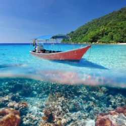 Escursioni Phuket & Phi Phi Island