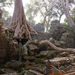 Un viaggio nelle meraviglie della storia e della natura. Visita Angkor.