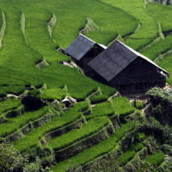 vietnam_risaie-a-terrazza_innviaggi