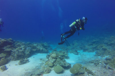 Nelle acque dell'arcipelago di Palau.