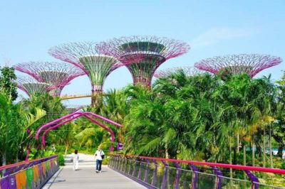 gardens by the bay singapore