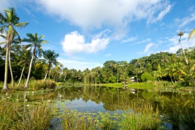 singapore e bali