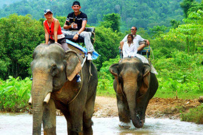 escursione in elefante parco nazionale di khao sok in thailandia