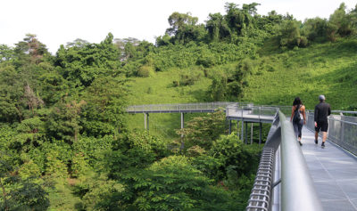 natura a singapore nel mount faber park