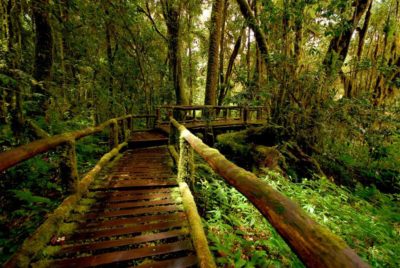 escursioni nel parco nazionale di doi inthanon