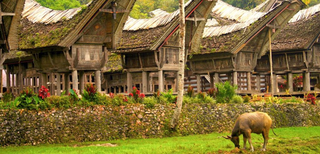 abitazioni tana toraja indonesia