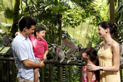 singapore zoo