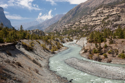 pisang annapurna nepal