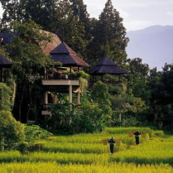 Escursioni Nord della Thailandia