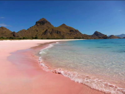 La meravigliosa spiaggia rosa di Pantai Merah