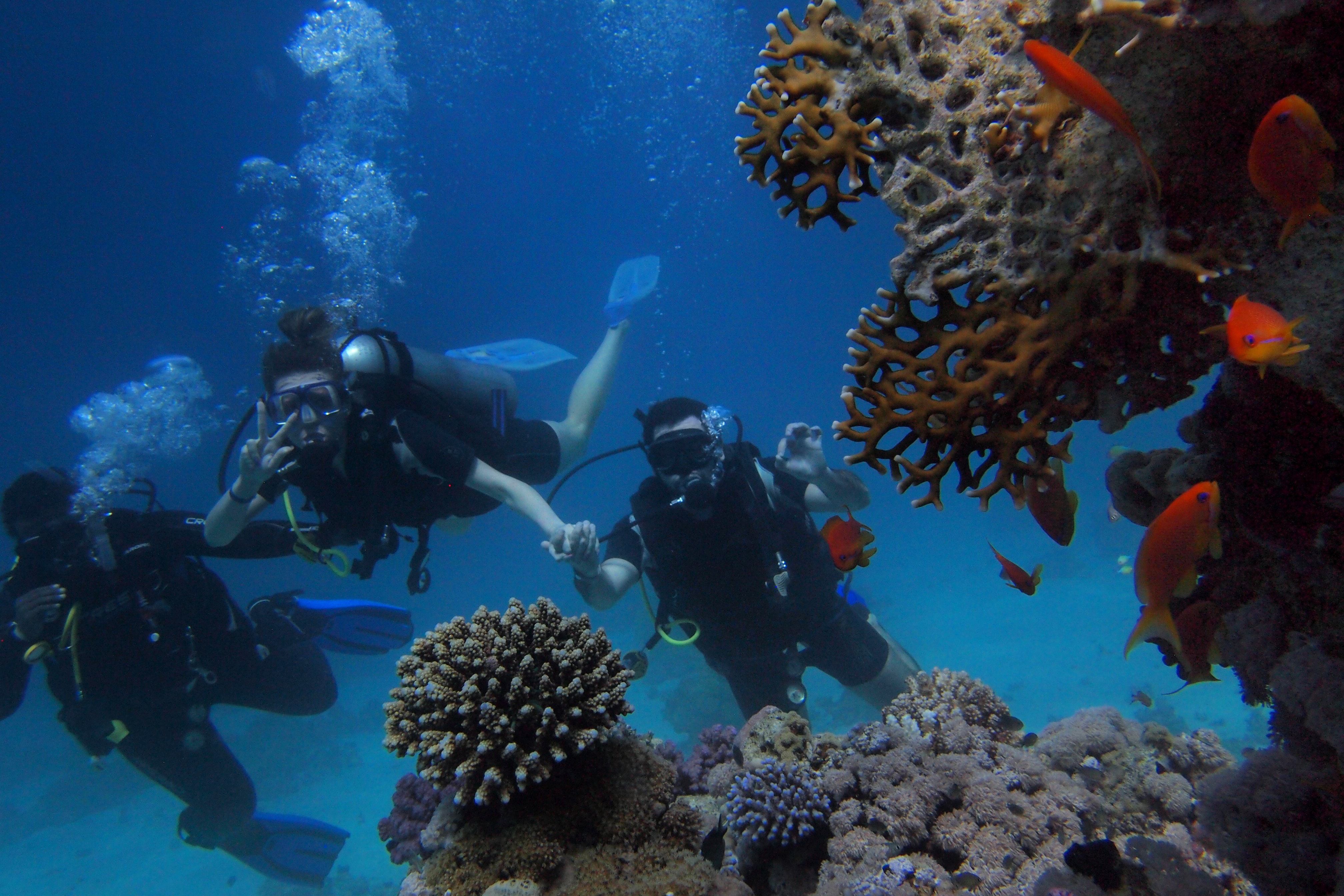 Snorkeling ad Addu, imperdibile!