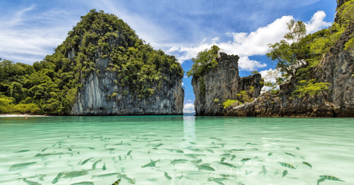 phi phi islands - thailandia