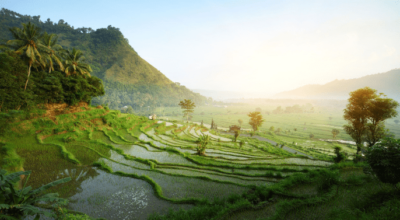 risaia a terrazza e panorama - indonesia