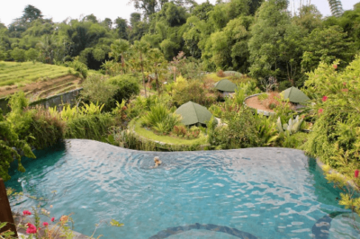 de moksha eco friendly boutique resort - bali