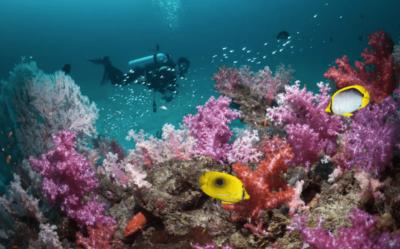 tarutao national marine park - thailandia